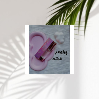 پرایمر آبرسان ژلی طرح شیگلم